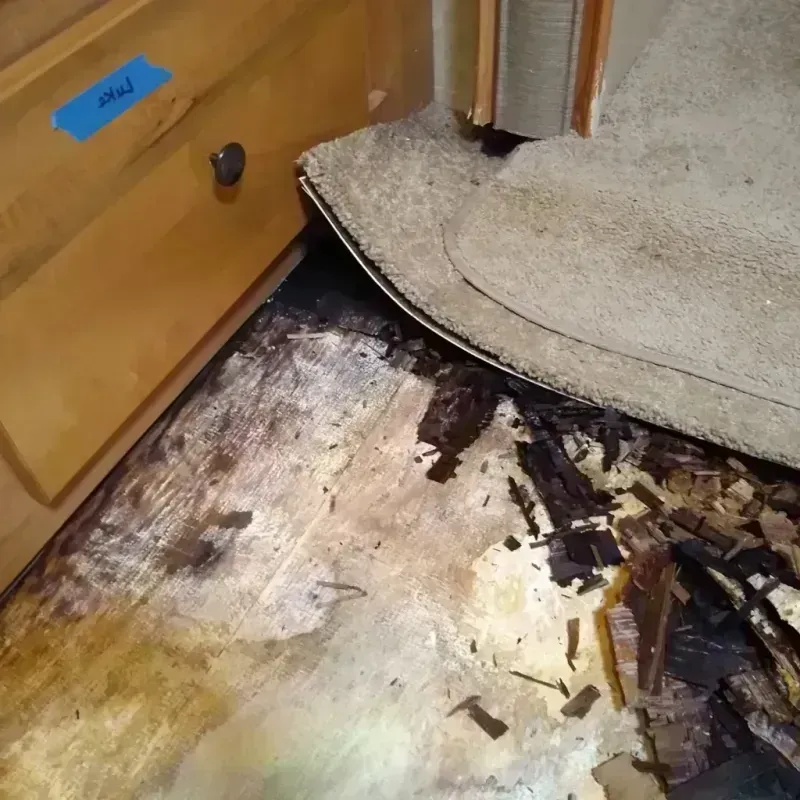 Wood Floor Water Damage in Linden, TX